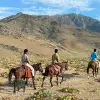 Image of Pack Animal Tours