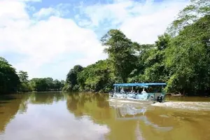 Tour image of Corcovado National Park One Day Tour