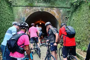 Tour image of Guided Hybrid Bike Tour in Shizuoka City (Note: not e-bikes)