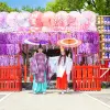 Image of Fashion Shows