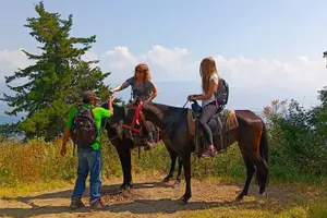 Tour image of Horseback Riding Tour in San Pedro La Laguna