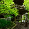 Image of Nature and Wildlife Tours