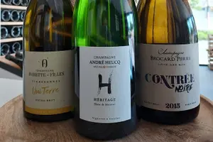 Tour image of Tasting and discovery of the 3 Champagne grape varieties