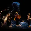 Image of Shows