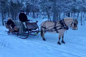Tour image of Sleigh or wagon ride in the arctic Country side