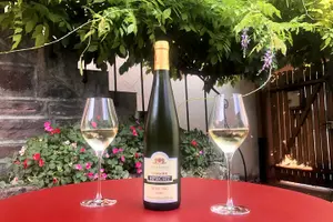 Tour image of Traditional visit and tasting