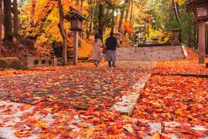 Tour image of Gujo, Hida Takayama, and Shirakawa-go Day Tour from Nagoya
