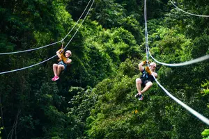 Tour image of Adventure Bundle: Monkeyland, Ziplines & Buggies Punta Cana