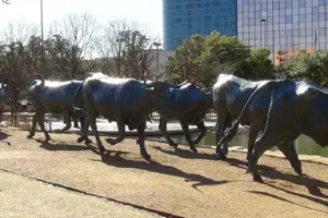 Tour image of Private Dallas and JFK Tour with Local Guide