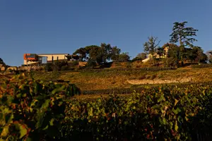 Tour image of Saint-Emilion Grand Cru Classified: Visit & Tasting in French