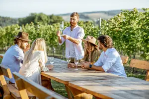 Tour image of From Marseille: Full-Day Wine Tasting Tour of Bandol & Cassis