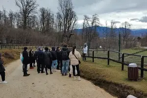 Tour image of Brasov: Bears Sanctuary, Rasnov Fortress, Bran Castle GUIDED Tour