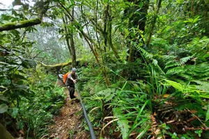 Tour image of Fansipan Trek One Day Tour – Roof of Indochina