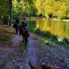 Image of Wildlife Watching