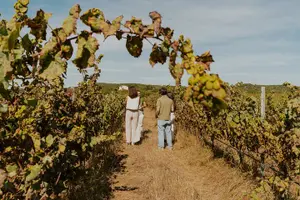 Tour image of 1 Day Wine Tour Around Évora