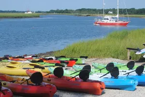 Tour image of 2-Hour Guided Kayak Eco Tour in Charleston