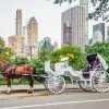 Image of Pack Animal Tours