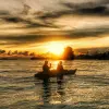 Image of Swimming