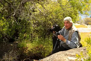 Tour image of Experience Yosemite: Beginner or Advanced Photography Lesson