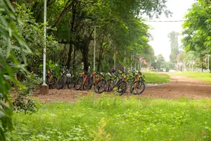 Tour image of Silk Island Cycling Adventure & lunch with locals