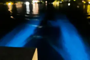 Tour image of Grand Cayman - Bioluminescent Bay Tour