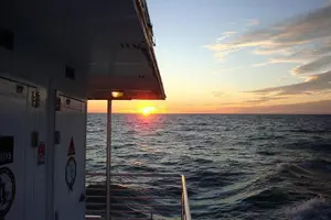 Tour image of Gulf of Mexico Sunset Cruise from Naples