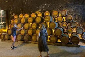 Tour image of Douro Valley private wine tour | tastings and lunch included
