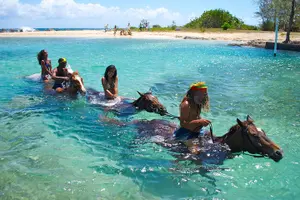 Tour image of Sand n Saddle Horseback Ride & Swim Tour from Falmouth