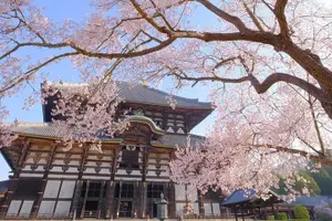 Tour image of Kyoto & Nara & Uji: Full Day Sightseeing Tour from Osaka or Kyoto