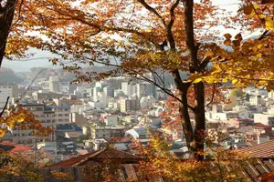 Tour image of Half Day Walking Tour Takayama’s Hidden Gems and Temple Walk