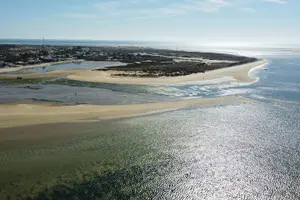 Tour image of SUP Rental with Access to Natural Park of Ria Formosa's Islands