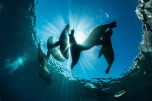 Image of Mexico