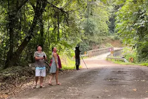 Tour image of 4 Hour Private Guided Tour in Osa Jungle