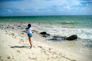 Tour image of 10,000 Islands Boat Tour + Naturalist Led Walk in the Everglades!