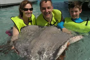 Tour image of Stingray Sandbar, Snorkeling, and Starfish Point