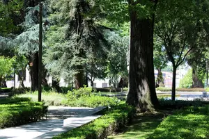 Tour image of Porto: Private Guided Walking Tour