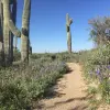 Image of Nature Parks