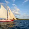 Image of Dolphin Watching