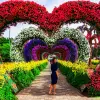 Image of Plantation Tours