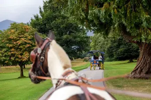 Tour image of Combination Killarney Jaunting Car Tour and Lakes of Killarney Cruise