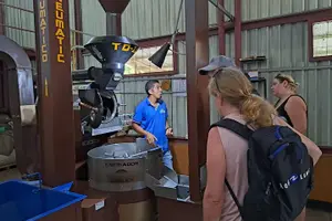 Tour image of Coffee Plantation Visit and Tasting Activity in Costa Rica