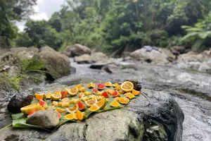 Tour image of Full-Day Private Tour to Tinajas Waterfalls in El Yunque