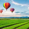 Image of In the Air