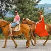 Image of Pack Animal Tours