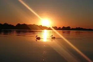 Tour image of **Danube Delta Trips on the Camely Boat: Departing from Tulcea**