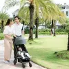 Image of Honeymoon Packages