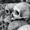 Image of Crime Tours