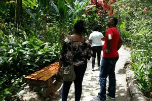 Tour image of St Lucia Diamond Mineral and Mud Baths Plus Waterfall Adventure