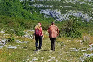 Tour image of Burren Guided Walk