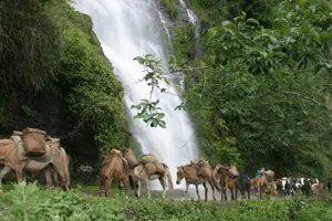 Tour image of 9 Days Druk-path Trek with Cultural sightseeing